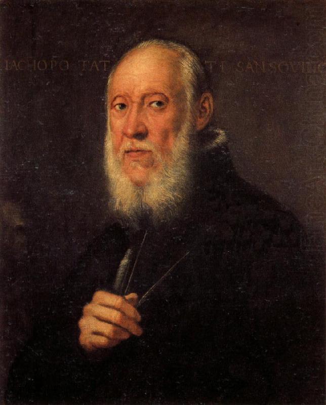 Jacopo Tintoretto Portrait of Jacopo Sansovino china oil painting image